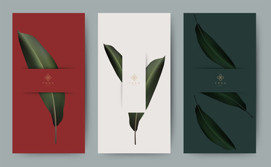 Set of banner for branding packaging leaf nature background. Design for logo, voucher, Summer tropical, autumn and Christmas season greeting. Minimal modern style. vector illustration