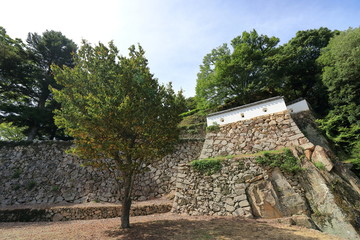 Fototapeta na wymiar Bitchu matuyama castle in Takahasi city in Japan