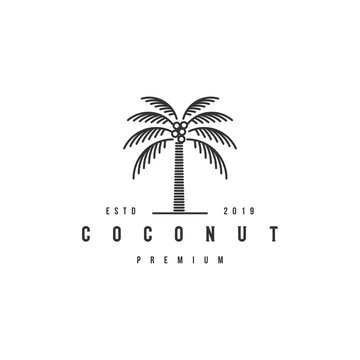 coconut tree logo design template premium.Palm tree icon inspiration