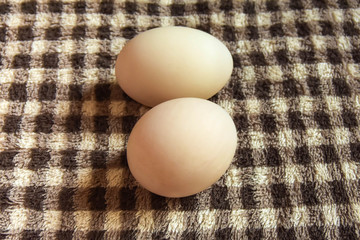 Eggs are put in the cloth to prepare breakfast.