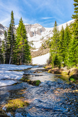 Pine trees and alpine river water on Thomas Lakes Hike in Mt Sopris, Carbondale, Colorado in early...