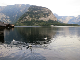 世界遺産　ハルシュタット湖（オーストリア　オーバーエスターライヒ州　ザルツカンマーグート）