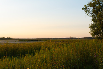 Fototapeta premium Summer afternoon in Dixon Waterfowl Refuge