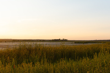 Fototapeta premium Summer afternoon in Dixon Waterfowl Refuge