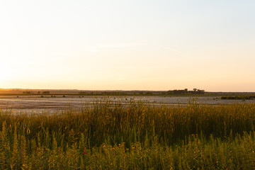 Summer afternoon in Dixon Waterfowl Refuge