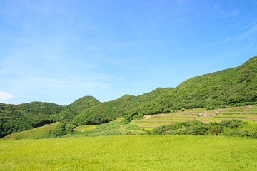 春日の棚田　長崎県平戸市　Nagasakiken Kasuga Rice terraces