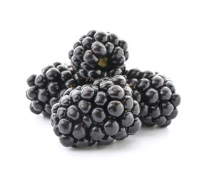 Ripe blackberry on white background