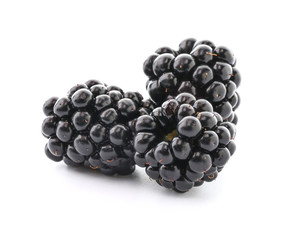 Ripe blackberry on white background