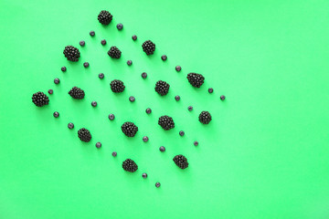 Ripe blackberry and bilberry on color background
