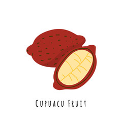 Cupuacu cacao fruit flat vector illustration