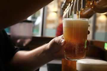 Barman pouring fresh beer in glass, closeup