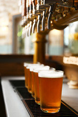 Glasses of fresh draft beer on bar counter
