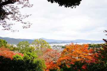 山から見た京都の町並みと紅葉(1)