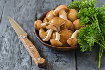 A knife with a wooden handle next to a bowl of wild mushrooms on a wooden table.