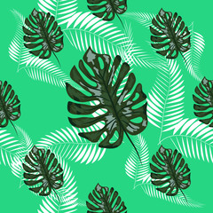 Fototapeta na wymiar Tropical Pattern. Seamless Texture with Bright Hand Drawn Leaves of Monstera. Seamless Background with Tropic Plants.