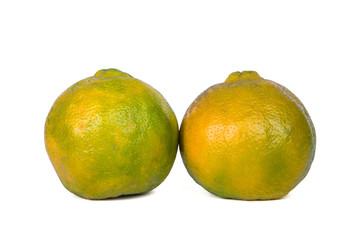  Orange Fruit Isolated On White Background