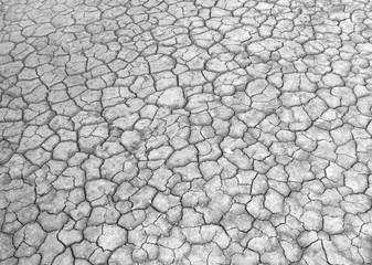 Dry soil surface with cracks under high solar activity and lack of moisture