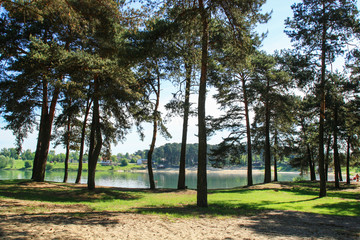 A lake hidden in the forest. Sandy beach among pine trees.