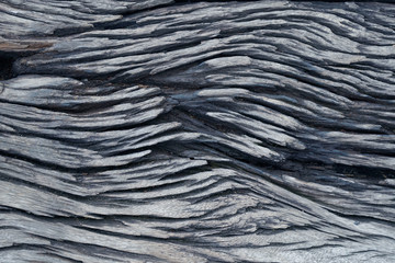 Old wood background texture.