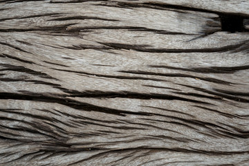 Old wood background texture.