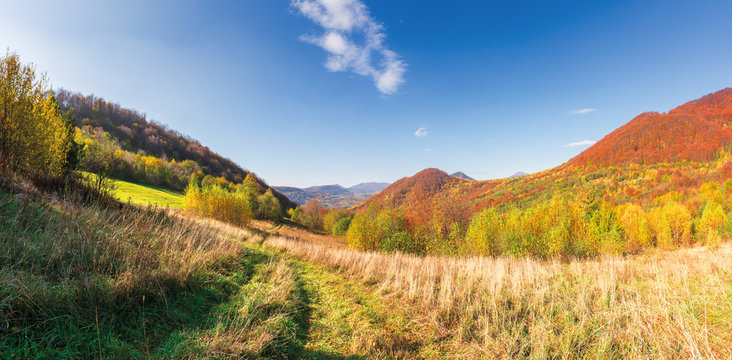 beautiful mountain landscape in autumn. forest on the grassy hills. wonderful sunny weather at high noon. amazing carpathian panoram of uzhanian national park, ukraine