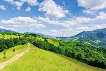 Fototapeta na wymiar beautiful mountain landscape in summertime. footpath through forests and grassy meadow on rolling hills. ridge in the distance. amazing sunny weather with fluffy clouds on the blue sky