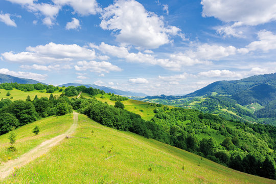 beautiful mountain landscape in summertime. footpath through forests and grassy meadow on rolling hills. ridge in the distance. amazing sunny weather with fluffy clouds on the blue sky