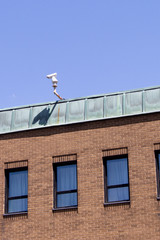 Your friendly neighborhood big brother is watching with this security camera