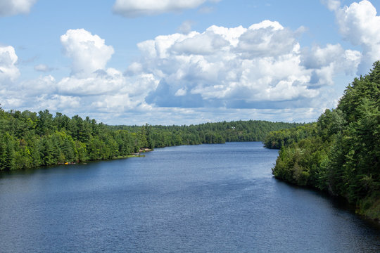 A river is viewed from a crossing with evergreen-rich forests on both shores.