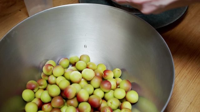 A Japanese female chef adding salt over Japanese Ume (making UMEBOSHI) at home kitchen, Tokyo, Japan. May 2019. Camera fixed, Extreme close-up, high angle