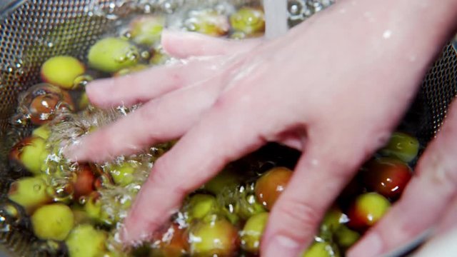 A Japanese female chef washing Japanese Ume (making UMEBOSHI) in the sink at home kitchen, Tokyo, Japan. May 2019. Camera fixed, Extreme close-up, high angle