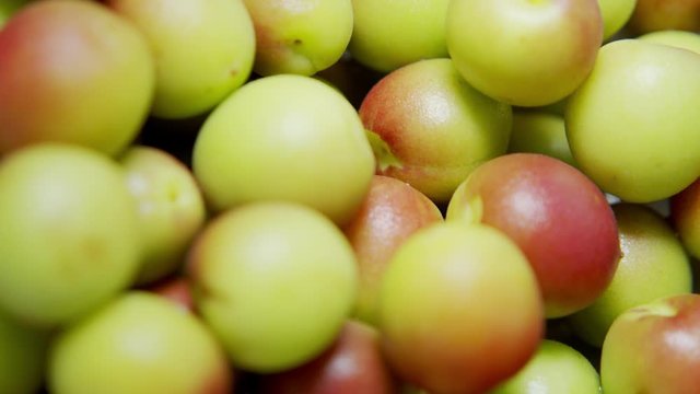 Japanese Ume (making UMEBOSHI) at home kitchen, Tokyo, Japan. May 2019. Camera pan, Extreme close-up, high angle