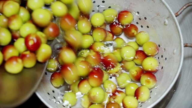 A Japanese female chef rinsing Japanese Ume at home kitchen, Tokyo, Japan. May 2019. Camera fixed, Extreme close-up, bird's eye view