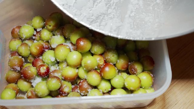 A Japanese female chef putting salted Japanese Ume (making UMEBOSHI) at home kitchen, Tokyo, Japan. May 2019. Camera fixed, Extreme close-up, bird's eye view