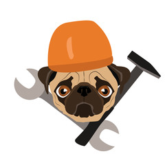 pug in the uniform of a builder