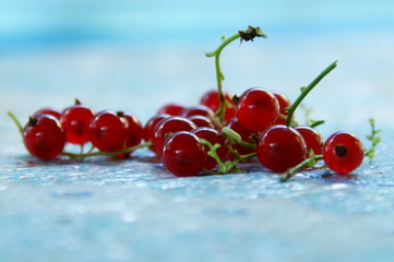 A sprig of red currant lise on table close-up
