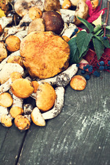 Forest mushrooms on a wooden background.