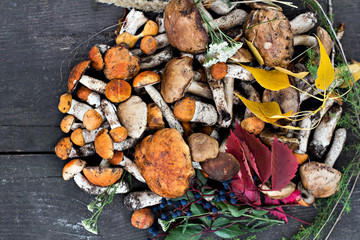 Forest mushrooms on a wooden background.