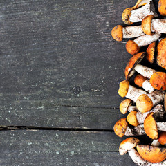 Forest mushrooms on a wooden background.