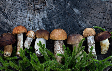 Forest mushrooms on a wooden background.