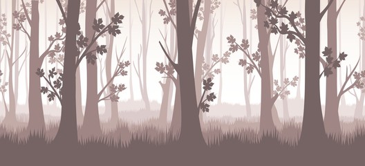 Forest twilight illustration