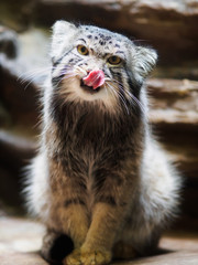 動物園
