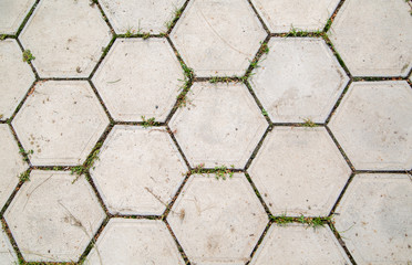 hexagonal tile honeycomb on dirt road