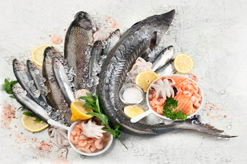 Fresh fish and seafood
