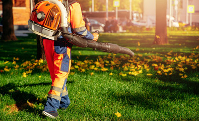 Male worker removes leaf blower leaves lawn of garden Autumn