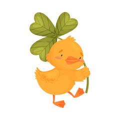 Cartoon duckling with clover. Vector illustration on white background.