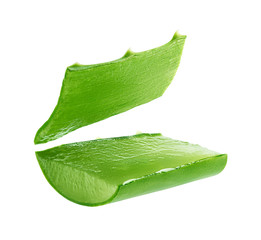 Aloe Vera isolated on a white background