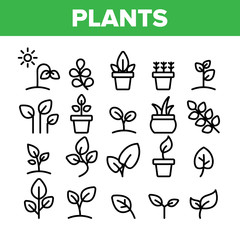 Collection Different Plants Sign Icons Set Vector Thin Line. House Plants, Gardening And Leaves Assortment Linear Pictograms. Nature Decoration And Tree Bunch Monochrome Contour Illustrations