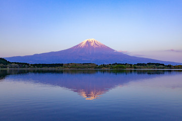 Fototapeta na wymiar 夕日を浴びた富士山、静岡県富士宮市田貫湖にて