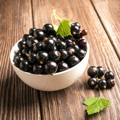 Fresh black currant in a white cup on a dark wooden background. Square frame